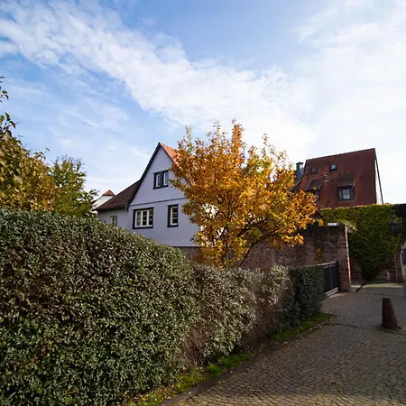 Appartement Adlerlodge - Ferienhaus Und Apartment Michelstadt